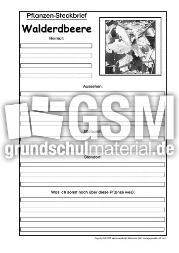 Pflanzensteckbrief-Walderdbeere-SW.pdf